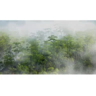 Tapety - Mural Rain Deszczowy Las 500 x 280 cm struktura płótna - miniaturka - grafika 1