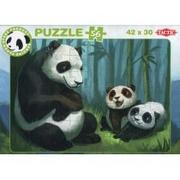 Puzzle - Panda Stars Puzzle C 56 - miniaturka - grafika 1