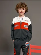 Swetry dla chłopców - Sinsay - Bluza Hot Wheels - czerwony - miniaturka - grafika 1