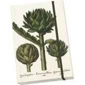 Notesy i bloczki - Skona Ting Notatnik ozdobny A5 STNOTE 86 Karczoch - Skona Ting - miniaturka - grafika 1