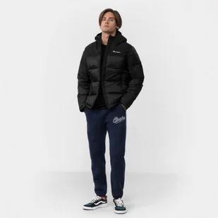 Męskie spodnie dresowe CHAMPION ROCHESTER Elastic Cuff Pants - Spodnie sportowe męskie - miniaturka - grafika 1