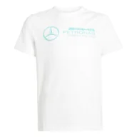 Odzież sportowa dziecięca - Koszulka Mercedes - Amg Petronas Formula One Team Dna Graphic - miniaturka - grafika 1