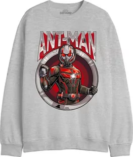 Marvel"Antman - Antman Circle" MEANTMMSW012 Bluza Męska, Melange Grey, Rozmiar L, Szary Melange, L - Bluzy męskie - miniaturka - grafika 1