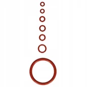 Akcesoria i części do ekspresów do kawy - Komplet uszczelek do ekspresów Philips LatteGo / Saeco - miniaturka - grafika 1