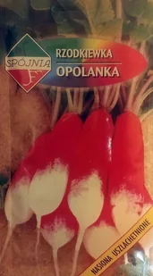Nasiona Rzodkiewka Opolanka 5 G Spójnia - Nasiona i cebule - miniaturka - grafika 1