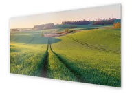 Dekoracje domu - Panel kuchenny HOMEPRINT Zielona polana 140x70 cm - miniaturka - grafika 1