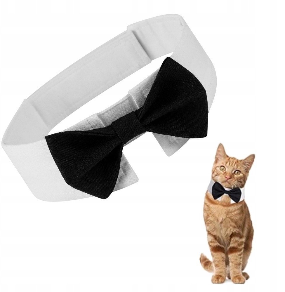 MUCHA DLA PSA KOTA Uniwersalna na rzep ELEGANCKA STRÓJ IMPREZOWY rozmiar S