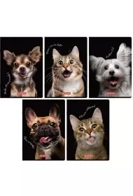Zeszyt A5/60K linia z marginesem Animals (10szt) - Zeszyty szkolne - miniaturka - grafika 1