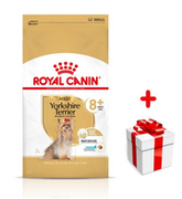 Sucha karma dla psów - ROYAL CANIN Yorkshire Terrier Adult 8+ 500g- karma sucha dla dojrzałych psów rasy yorkshire terrier, powyżej 8 roku życia + niespodzianka dla psa GRATIS - miniaturka - grafika 1