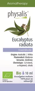 PHYSALIS (olejki eteryczne, soki) OLEJEK ETERYCZNY EUKALIPTUS AUSTRALIJSKI (EUCALYPTUS RADIATA) BIO 10 ml - PHYSALIS - Aromaterapia - miniaturka - grafika 1
