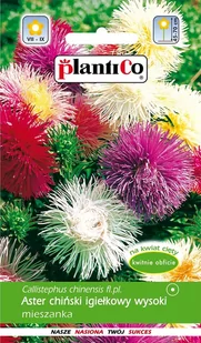 Plantico Aster chiński igiełkowy mix - Nasiona i cebule - miniaturka - grafika 1