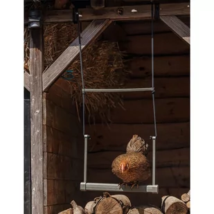Beeztees Huśtawka Dla Kur, 40X5X30 Cm, Szara - Akcesoria dla gryzoni - miniaturka - grafika 1