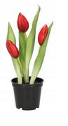 Sztuczne kwiaty - Tulipany Bukiet Tulipanów Kwiaty Gumowe Jak Żywe - miniaturka - grafika 1