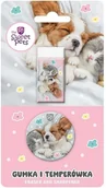 Temperówki - Beniamin Gumka + temperówka The Sweet Pets - miniaturka - grafika 1