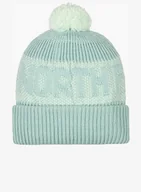 Czapki męskie - Czapka zimowa The North Face Retro Cabin Beanie - muted pine/pale green - miniaturka - grafika 1