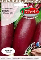 Nasiona i cebule - Nasiona Burak ćwikłowy Opolski TAŚMA 100szt - Torseed - miniaturka - grafika 1
