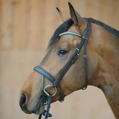 Ogłowia - Kavalkade Ogłowie DIANA IR - miniaturka - grafika 1