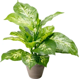 Tajemniczy ogród Roślina zielona w doniczce - Sztuczne kwiaty - miniaturka - grafika 1