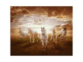 Malowanie po numerach - Obraz Malowanie Po Numerach Rama 50X40Cm Konie W Galopie - miniaturka - grafika 1