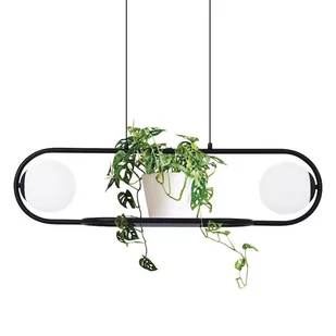 Lampa Finestra kaja K-4961 - Lampy sufitowe - miniaturka - grafika 1