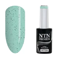 Lakiery hybrydowe - Ntn Premium Lakier hybrydowy NTN Premium Sugar Puff Collection 5 g Nr 183 - miniaturka - grafika 1