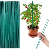 Kwietniki - PODPORA DO KWIATÓW PODPÓRKA ROŚLIN PATYKI 50szt 40cm - miniaturka - grafika 1