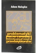 Ekonomia - Zarys problematyki restrukturyzacji przedsiębiorstw - miniaturka - grafika 1