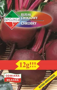 Nasiona Burak Ćwikłowy Chrobry 12G Spójnia - Nasiona i cebule - miniaturka - grafika 1