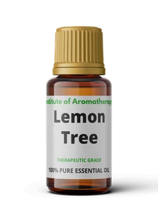 Olejek eteryczny DRZEWKO CYTRYNOWE - nawanianie pomieszczeń - Aromaterapia - miniaturka - grafika 1