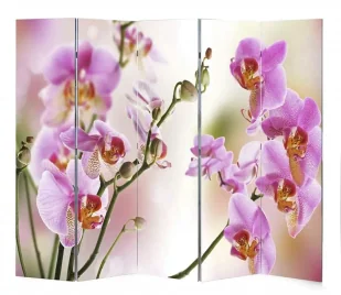 Wewnętrzny parawan z dustronnym nadrukiem P9-W39 - Parawany - miniaturka - grafika 1