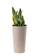Donice - Doniczka Osłonka do SALONU Kwietnik Donica domowa DUŻA 46cm + WKŁAD Prążki Slim Wysoka - miniaturka - grafika 1