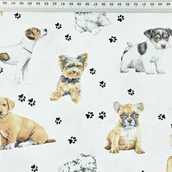 Pasmanteria - Tkanina bawełniana pieski beżowo-białe na białym tle - miniaturka - grafika 1