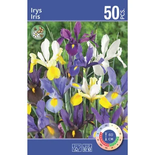 Irys Holenderski mix 8/9 50szt. Cebulki kwiatów - Nasiona i cebule - miniaturka - grafika 1