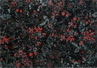 Carpet Decor Dywan łatwoczyszczący Secret Black - Dywany - miniaturka - grafika 1