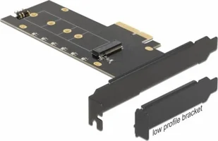 Kontroler Delock DeLOCK PCIe x4 K 1x in NVM M.2 Key M - with heat sink + RGB LED 89013 - Kontrolery - miniaturka - grafika 1