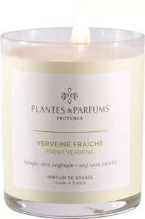 Świece - PLANTES&PARFUMS PROVENCE Świeca zapachowa perfumowana - Fresh Verbena - Świeża Werbena 070224 - grafika 1