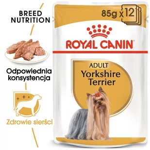 Royal Canin bytówka Yorkshire Terrier Adult 12x85g 16470-uniw - Mokra karma dla psów - miniaturka - grafika 1