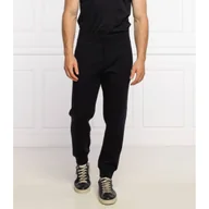Dresy męskie - Emporio Armani Spodnie | Regular Fit - miniaturka - grafika 1