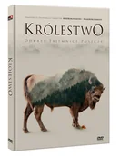 Filmy dokumentalne DVD - Królestwo - miniaturka - grafika 1