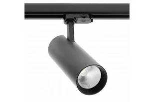 Reflektor LED T-LINE do szynoprzewodu,12W,1100lm,4000K,czarny - Lampy sufitowe - miniaturka - grafika 1