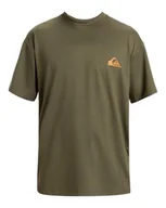 Koszulki męskie - Quiksilver Koszulka męska Everyday Surf Tee SS, Grape Leaf, XXL - miniaturka - grafika 1