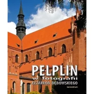 Albumy o  sztuce - Bernardinum Cezary Dębowski Pelplin w fotografii Cezarego Dębowskiego - miniaturka - grafika 1