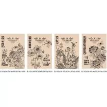 Fresh Notatnik ozdobny 165x238/80k linia - Szkolne artykuły papiernicze - miniaturka - grafika 1