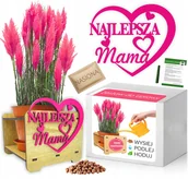 Nasiona i cebule - Zestaw do Uprawy TRAWA PAMPASOWA Dzień Matki Mamy - miniaturka - grafika 1