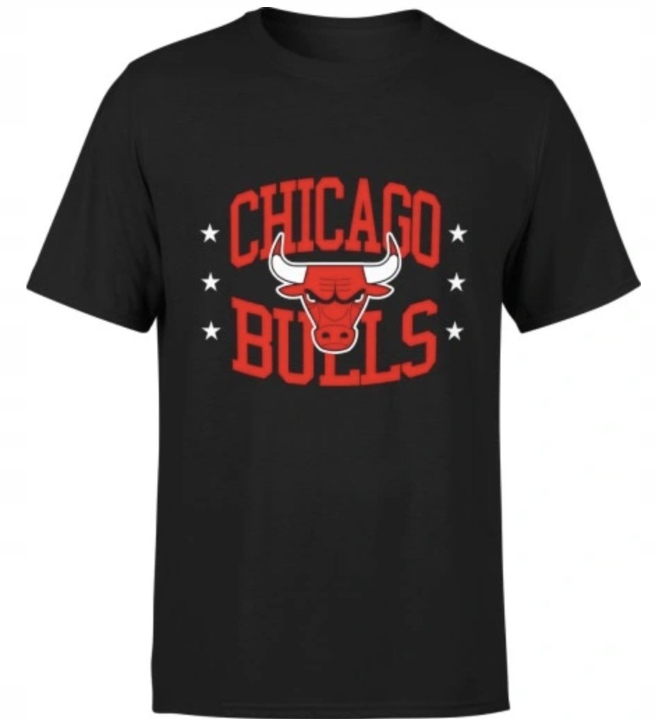 KOSZULKA Z NADRUKIEM MĘSKA ŚMIESZNA T-SHIRT CHICAGO BULLS NBA JORDAN r. L