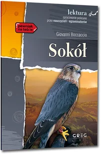 Sokół. Lektura z opracowaniem - Giovanni Boccaccio - książka - Lektury szkoły średnie - miniaturka - grafika 1