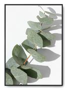 Plakaty - Plakat r A4 21x30 cm Rośliny Kwiaty Zieleń Natura - miniaturka - grafika 1