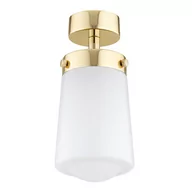 Lampy ścienne - Argon Plafon 1X15W E27 8005 PASADENA RABAT! 8005 - miniaturka - grafika 1