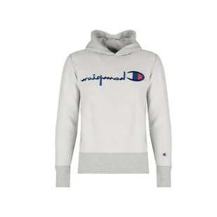 Bluza trekking męska - Bluzy sportowe męskie - miniaturka - grafika 1