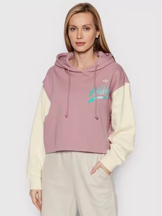 Adidas Bluza Hoodie HD9784 Różowy Relaxed Fit - Bluzy damskie - miniaturka - grafika 1